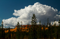 Poudre Canyon & Buffalo Pass 111002-1221