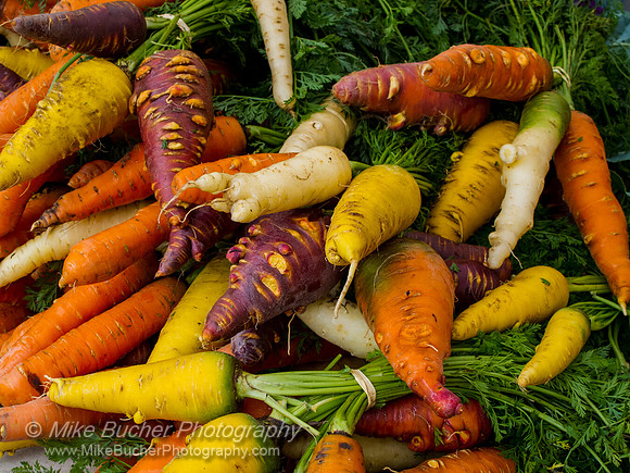 Oak Park farmers market 26