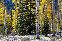 Steamboat Springs trip 131017-012