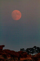 Lory Park Moonrise 2021-08