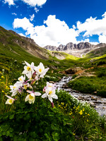 American Basin 2015-07