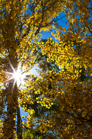 San Juan Mountains 2015-09