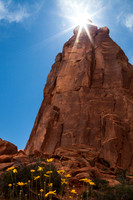 Utah NP 2015-05