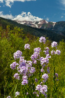 Wind River Range 2015-06