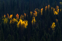 Buffalo Pass 120922-4005