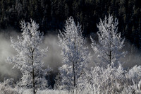 Grand Teton 140121-029