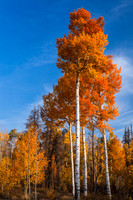 Buffalo Pass 120923-2803