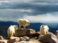 Mt Evans-100701-1796