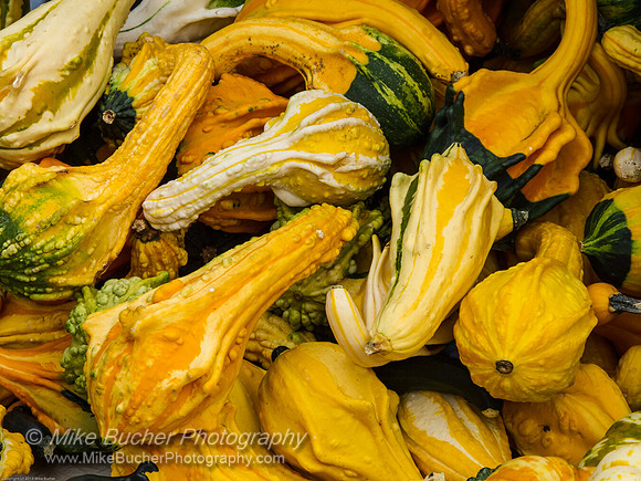 Oak Park farmers market 1