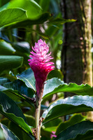 Hawaii_13-04-07_142