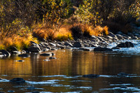 Buffalo Pass 121006-4311
