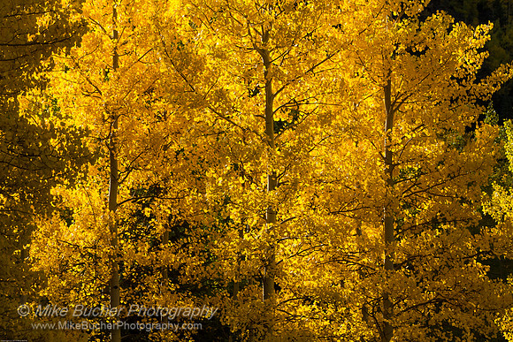 Silverton & Owl Creek Pass 110927-1015