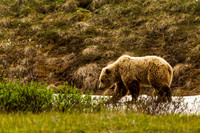 Denali  120621-3073