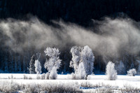 Grand Teton 140121-032