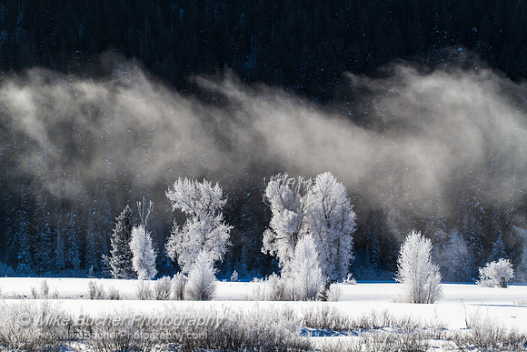Grand Teton Hoar Frost 3