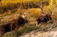 Buffalo Pass 120923-4226
