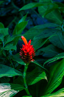 Hawaii_13-04-07_119