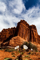 Arches NP 150516-4262